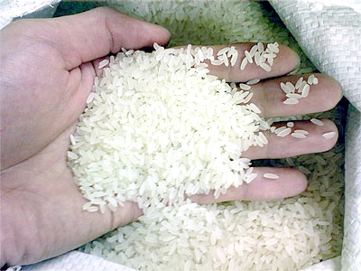 Gạo Lương Thực